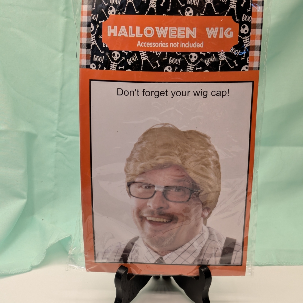 Blonde Halloween Wig Adult Male Hairstyle New